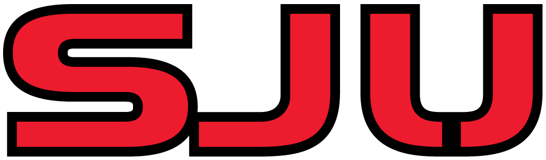 St. John's Red Storm 2004-2006 Wordmark Logo DIY iron on transfer (heat transfer)